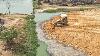 Incredible Bulldozer Pushing Clearing Land In New Update 98 Full Processing Filing Build Dirt